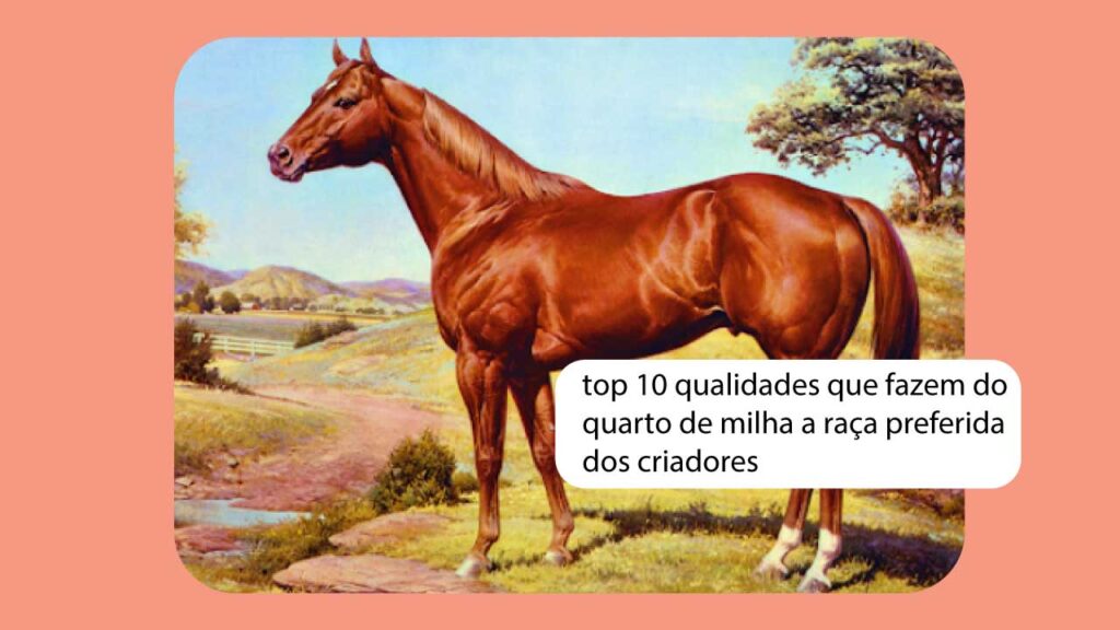 As top 10 qualidades que fazem do quarto de milha a raça preferida dos criadores